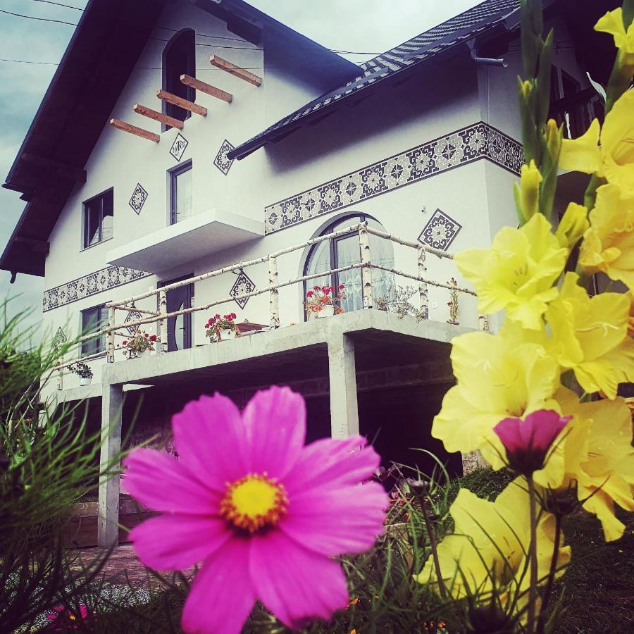Vila Casa Aureliana Ciocanesti Exteriér fotografie