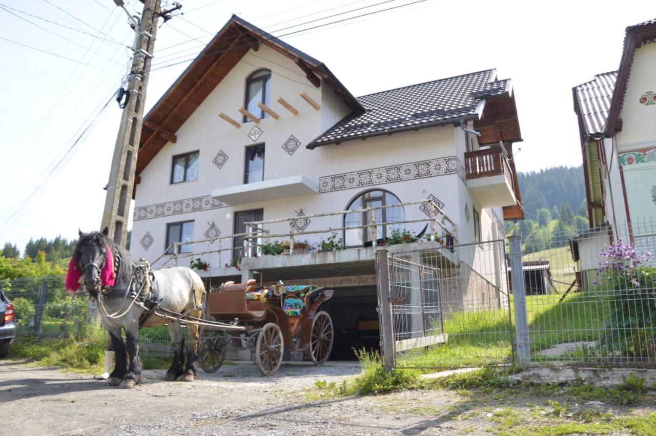 Vila Casa Aureliana Ciocanesti Exteriér fotografie