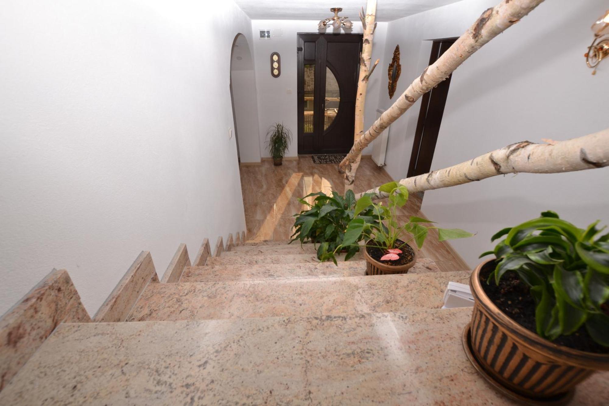 Vila Casa Aureliana Ciocanesti Exteriér fotografie